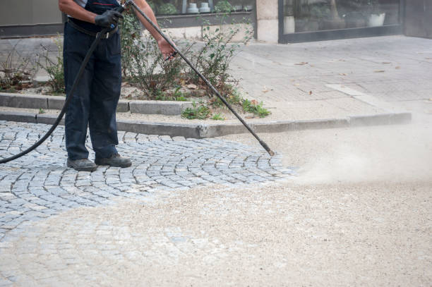 Best Warehouse Cleaning  in Webberville, MI