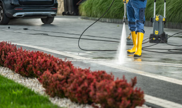 Best Sidewalk and Walkway Cleaning  in Webberville, MI